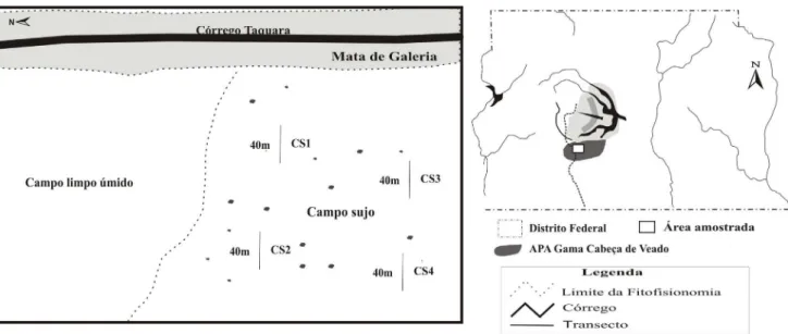 Figura 1. Esquema de disposição das linhas de amostragem no campo sujo na Fazenda Água Limpa, Brasília, DF.