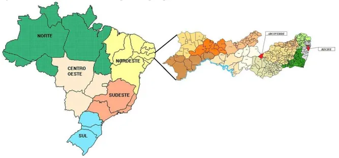 Figura 1- Localização dos municípios da pesquisa: Arcoverde-Recife/Pernambuco 