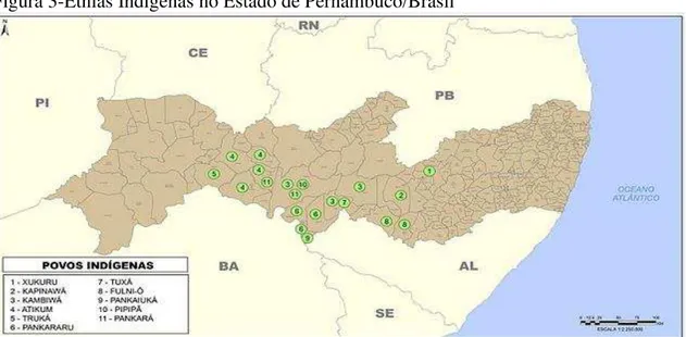 Figura 3-Etnias Indígenas no Estado de Pernambuco/Brasil 