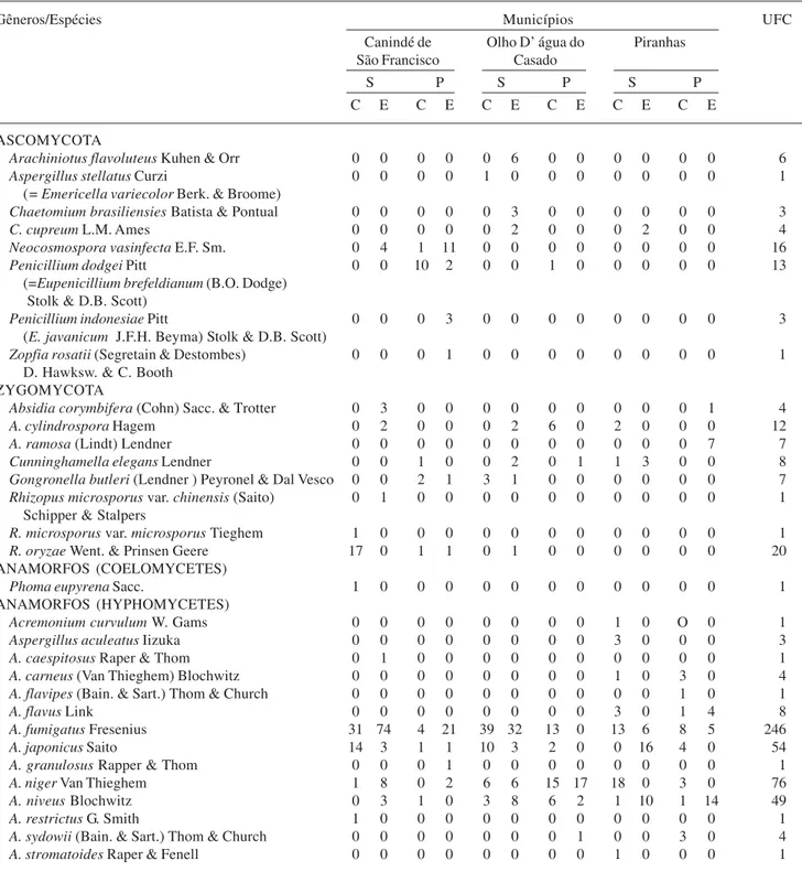 Tabela 1. Unidades formadoras de colônias (UFC) de fungos filamentosos isolados dos Municípios de Canindé de São Francisco, Olho D’água do Casado e Piranhas, na superfície (S) e profundidade (P), durante os períodos chuvoso (C) (maio e julho/2001) e de est