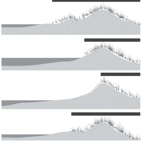 Figura 3. Esquema da morfodinâmica dos setores de pós-praia e duna frontal e variação da vegetação pioneira