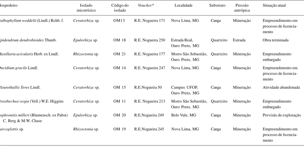 Tabela 1. Dados de coleta de Orchidaceae e fungos micorrízicos isolados de campos rupestres da região do Quadrilátero Ferrífero, MG, Brasil e situação atual das populações