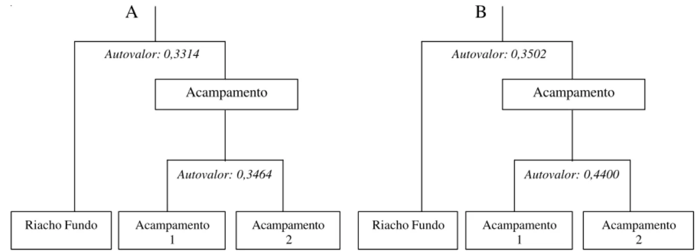 Figura 4. Dendrograma dos trechos inundáveis das Matas de Galeria dos córregos Riacho Fundo e Acampamento, Brasília, DF, Brasil, gerado pela classificação por TWINSPAN: A