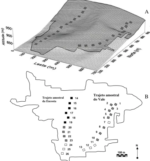 Figura 1. Grade de superfície (A) e mapa (B) do fragmento florestal da Mata do Coqueiro, Ibituruna, MG, Brasil, mostrando o relevo e a distribuição das 26 parcelas de 20×20 m nos dois trajetos do inventário de 2001, além da classificação dos solos