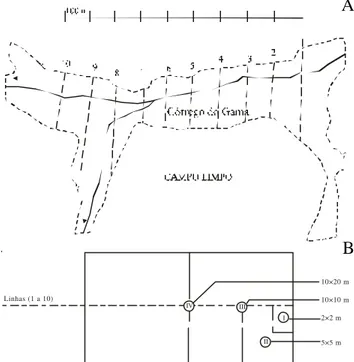 Figura 1. A. Linhas amostrais na Mata do Gama, DF, Brasil. B. Esquema das parcelas permanentes ao longo das linhas.