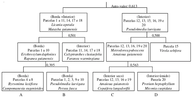 Figura 3. Arvoretas - Classificação das parcelas selecionadas de borda e interior da mata de galeria do Gama, DF, Brasil, gerado pelo método TWINSPAN, com base na classificação dos dados de densidade das espécies nas parcelas.