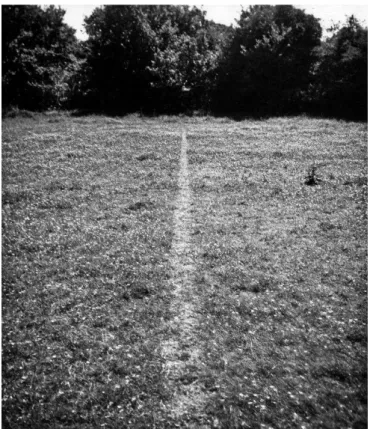 Figura 13:  A line made by walking, Richard Long, 1967. 