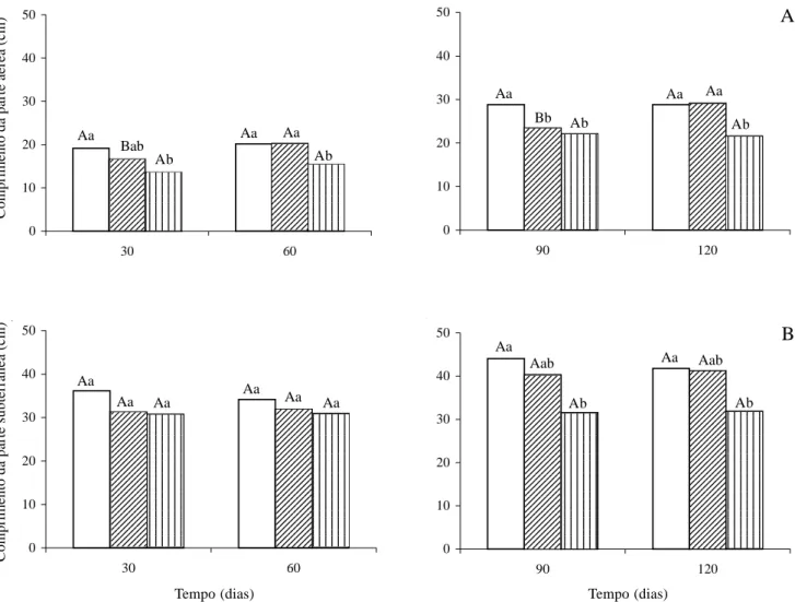 Figura 2. Comprimento médio das partes aérea (A) e subterrânea (B) das plantas jovens de Tabebuia aurea (Manso) Benth