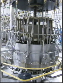 Fig. 17 – Máquina de evisceração para frango 