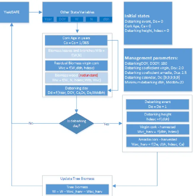 Figure  5.  Preliminary  flowchart  of  the  implementation  of  cork  allocation  and  extraction  into  YieldSAFE  