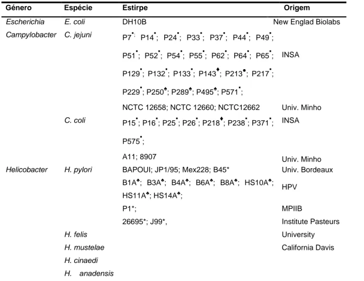 Tabela 3: Lista de estirpes/DNA usados 