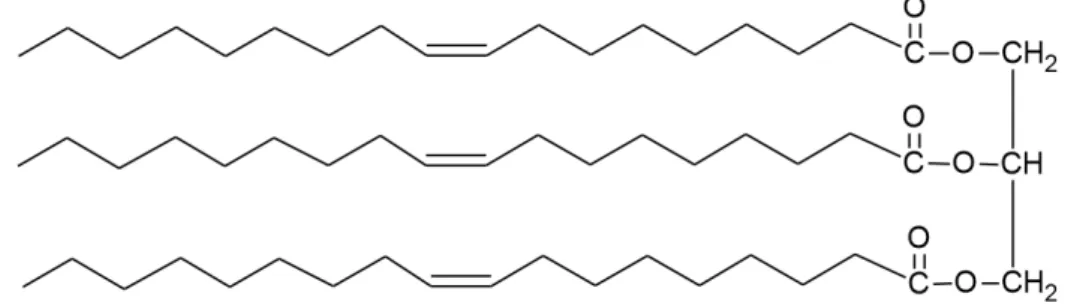 Figure 2: Trioleína, triglicerídeo formado por três ácidos graxos do tipo 18:1. 