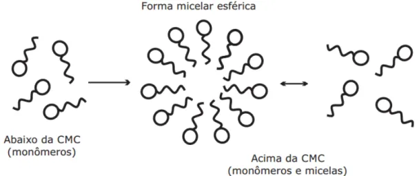 Figure 6: Formação do agregado micelar. Adaptado de [19]. 