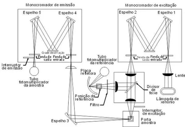 Figure 9: Arranjo estrutural de um espectrofluorímetro. Adaptado de [27]. 