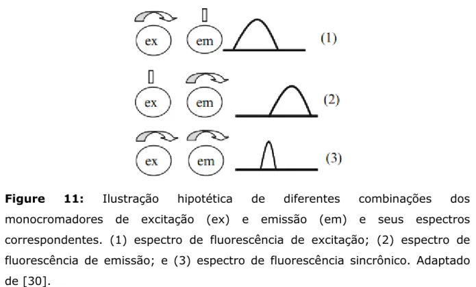 Figure  11:  Ilustração  hipotética  de  diferentes  combinações  dos  monocromadores  de  excitação  (ex)  e  emissão  (em)  e  seus  espectros  correspondentes
