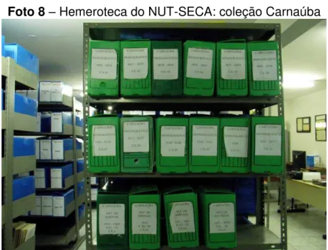 Foto 8  –  Hemeroteca do NUT-SECA: coleção Carnaúba 