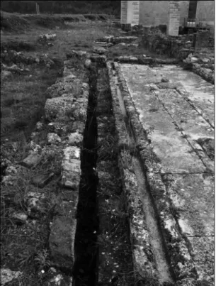 Fig. 5. Foricae do Forum.