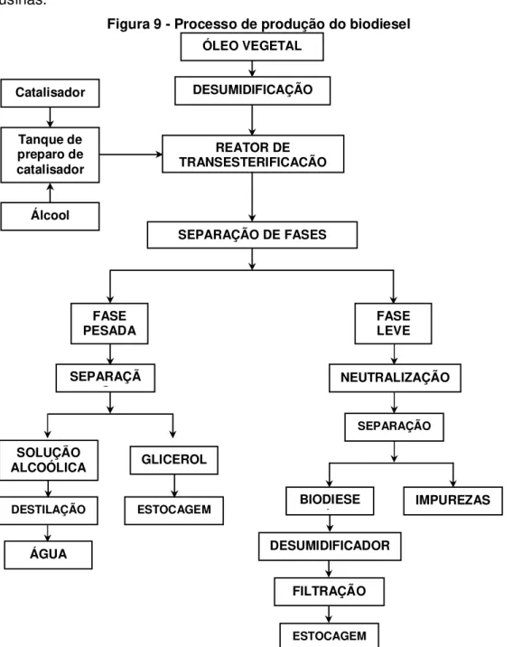 Figura 9 - Processo de produção do biodiesel 