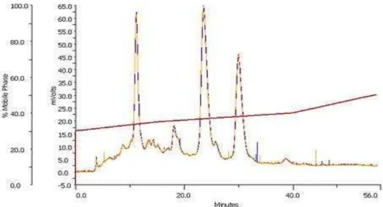 Figura 10: Separação cromatográfica da subfração eluída com 50% de metanol  obtido em método gradiente em λ0 min, com fluxo de 4 mL/min e  = β50.
