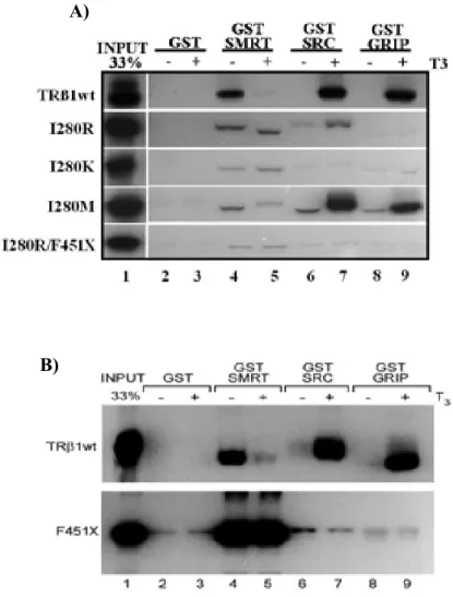Figura 1.9, A e B) Ensaio de GST avaliando a interação entre os mutantes I280R, I280M, I280K,  I280R/F451X e F451X ao correpressor SMRT e aos coativadores SRC1 e GRIP