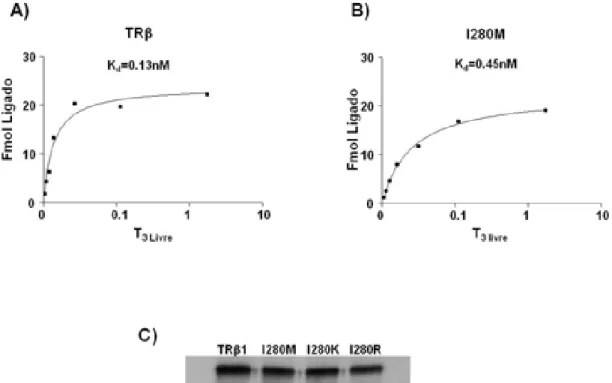 Figura 1.11, Ensaio de ligação ao T3 medindo a afinidade dos mutantes I280 pelo hormônio