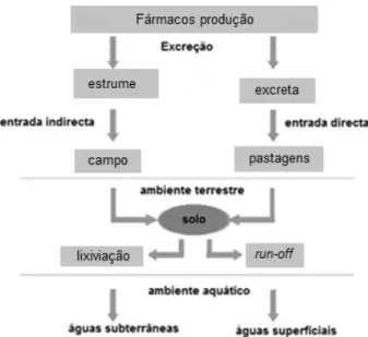 Figura 1 - Medicamentos veterinários no ambiente: vias de exposição previstas (adaptado  de Kemper, 2008) 