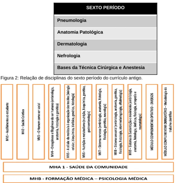 Figura 2: Relação de disciplinas do sexto período do currículo antigo. 