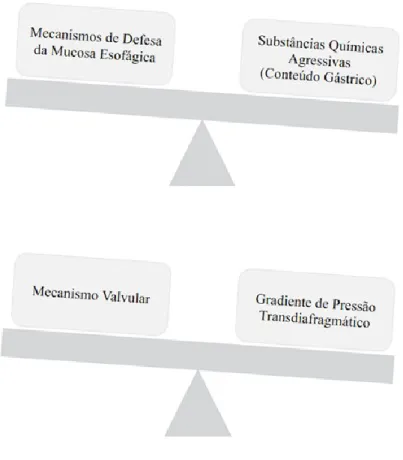 Figura 1 - Disrupção do equilíbrio na DRGE (Baseado em Menezes &amp; Herbella, 2017) 