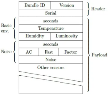 Figure 2.9: Structure of a bundle message.