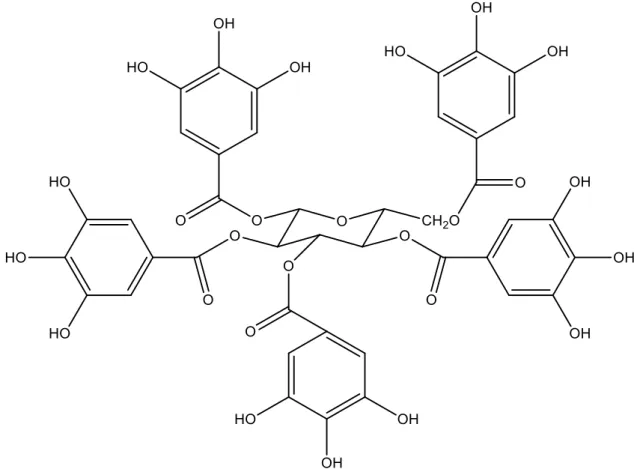 Figura 3- Estrutura química dos taninos hidrolisáveis. 