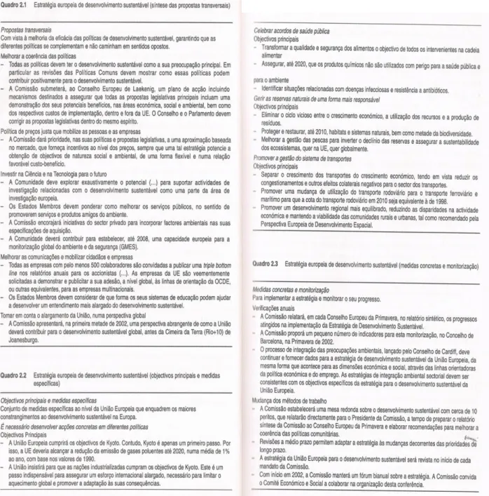 Figura 1 – Estratégia Europeia para o DS (Santos et al, 2005, p.18 e 19) 