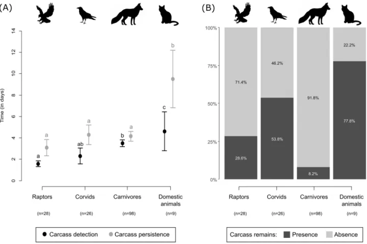 Figure 3.  Scavenger identity effect on (A) the mean (± standard error) carcass detection and persistence time,  and (B) proportion of cases with presence vs