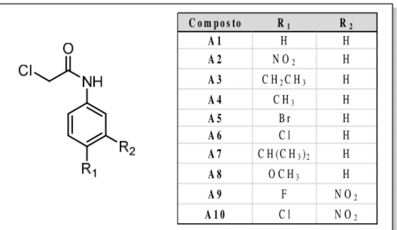 FIGURA 14 – Estrutura das acetamidas investigadas.  C o m po s to R 1 R 2 A 1 H H A 2 N O 2 H A 3 C H 2 C H 3 H A 4 C H 3 H A 5 B r H A 6 C l H A 7 C H (C H 3 ) 2 H A 8 O C H 3 H A 9 F N O 2 A 1 0 C l N O 2