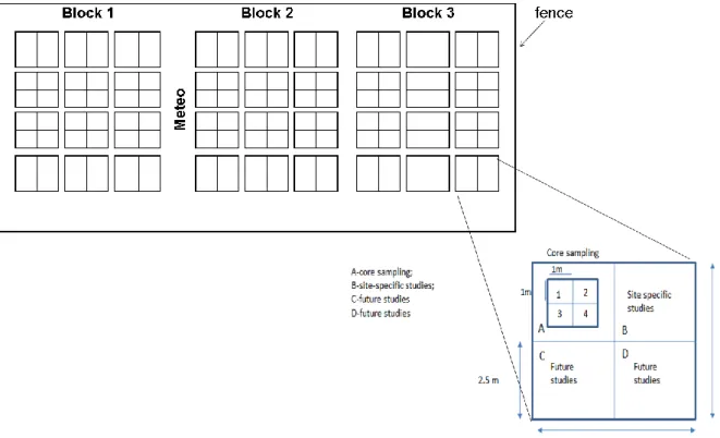 Fig.  5 Design layout for the field experiment based on the NutNet  protocol.  The three blocks are  represented  and  also  the  location  of  the  weather  station  (Meteo)