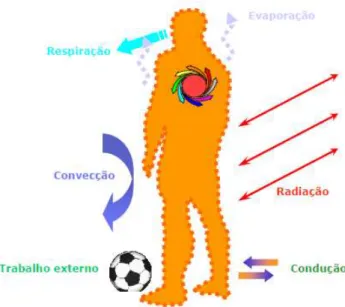Figura 05 - Balanço térmico do corpo humano 