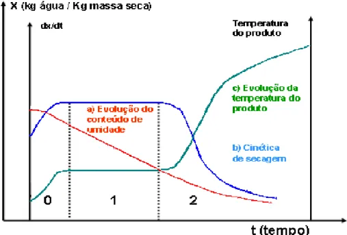 Figura 2 1 - Curvas Típicas de Secagem. 