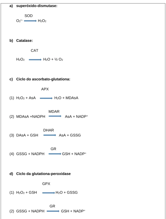 Figura 1  – Principais mecanismos de remoção de H 2 O 2  e de O 2 •‒ : a) superóxido-dismutase  (SOD); b) catalase (CAT), c) ciclo ascorbato-glutationa e d) ciclo da glutationa-peroxidase