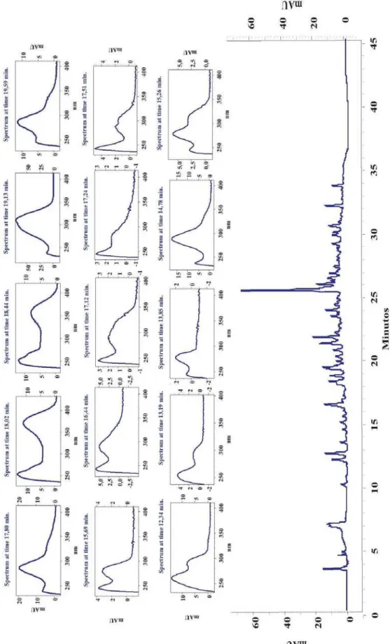 Figura I.2. Cromatograma da fração AcOEt das cascas das raízes de B. pentandra e  espectros de UV-Vis de compostos com tempo de retenção entre 12,34 a 19,59 minutos 