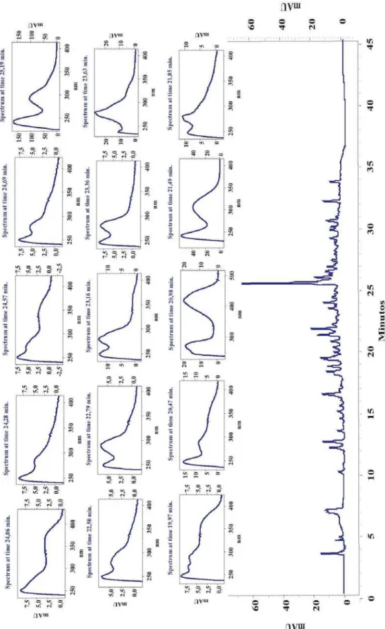 Figura I.3. Cromatograma da fração AcOEt das cascas das raízes de B. pentandra e  espectros de UV-Vis de compostos com tempo de retenção entre 19,97 a 25,19 minutos 