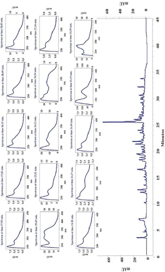 Figura I.4. Cromatograma da fração AcOEt das cascas das raízes de B. pentandra e  espectros de UV-Vis de compostos com tempo de retenção entre 24,28 a 28,83 minutos 