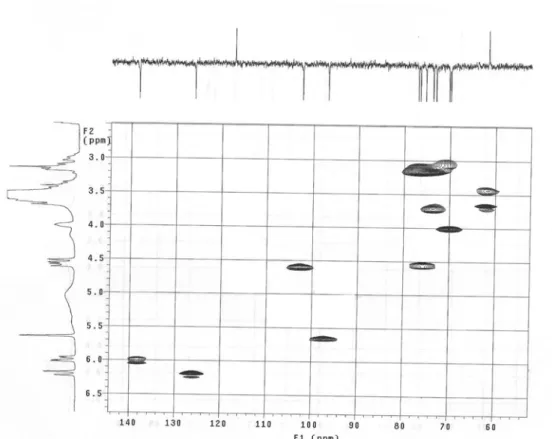 Figura I.11. Espectro de HMQC (DMSO-d 6 ) da substância 1 (litospermosida)  