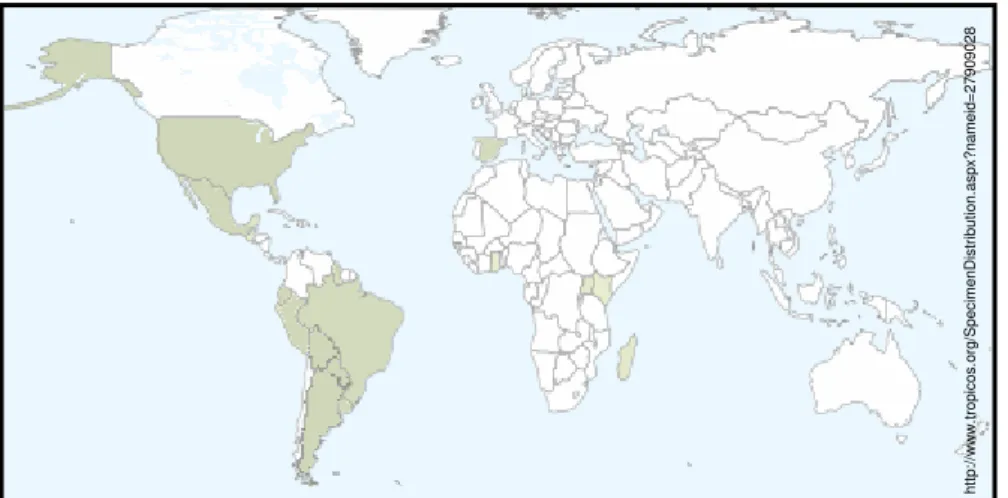 Figura 7. Distribuição geográfica da espécie  Richardia  brasiliensis Gomes no  mundo, representada  nas áreas em verde.