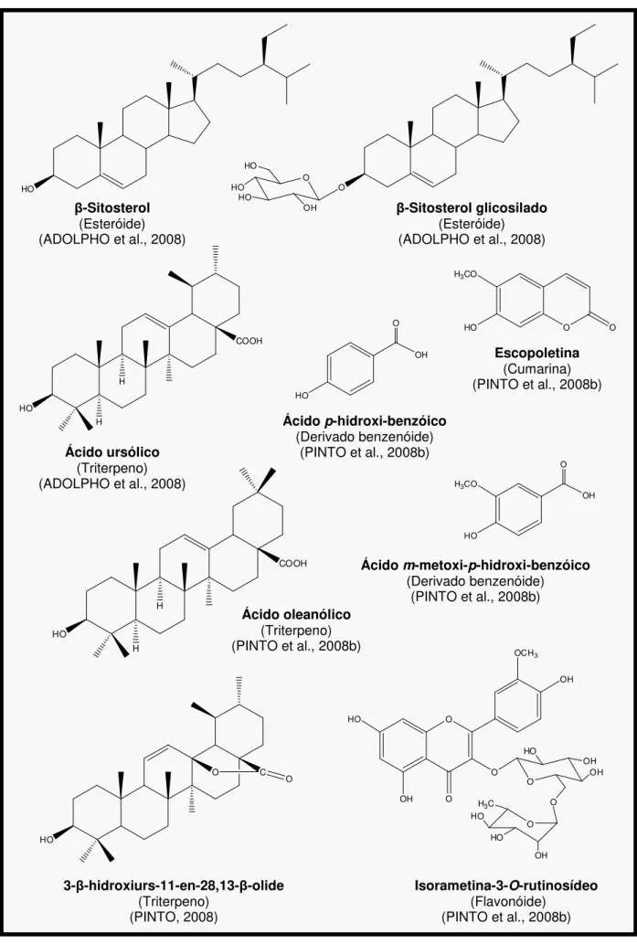 Figura 9. Substâncias isoladas de Richardia brasiliensis Gomes em estudos anteriores.  Isorametina-3-O-rutinosídeo  (Flavonóide) (PINTO et al., 2008b) OOOOHOCH3HOOHOHOOH OHOOH3CHOHOOHÁcido m-metoxi-p-hidroxi-benzóico (Derivado benzenóide) (PINTO et al., 20