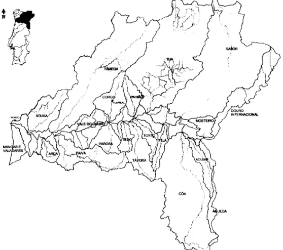 Figura 4 — Localização da Bacia Hidrográfica do Douro e da sub-Bacia do rio Tâmega em  território nacional (adaptado de www.inag.pt) 