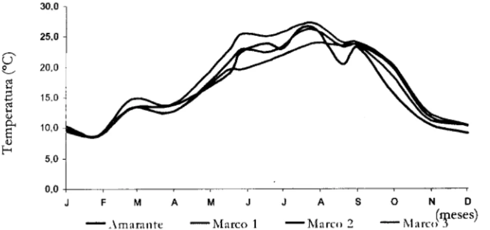 Figura 10 - Variação temporal da temperatura da água (&#34;C) em Amarante e Marco  0 gráfico apresenta um perfil semelhante de temperatura nos quatro pontos, sendo que Marco  1 apresentou os valores mais elevados
