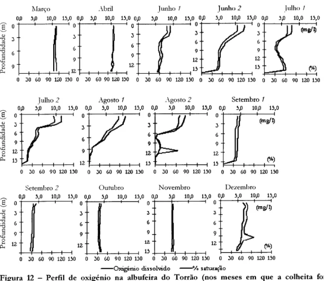 Figura 12 - Perfil  de oxigénio na albufeira do Torrão  (nos meses  em que a colheita foi  quinzenal, 1 diz respeito à primeira colheita e 2 à segunda) 