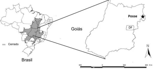 Figura 1.Localização geográfica do município de Posse, Goiás. 