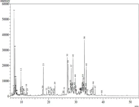 Figura 12 -Cromatograma de íons totais da amostra do óleo das sementes de urucum esterificada realizada em  CG-MS