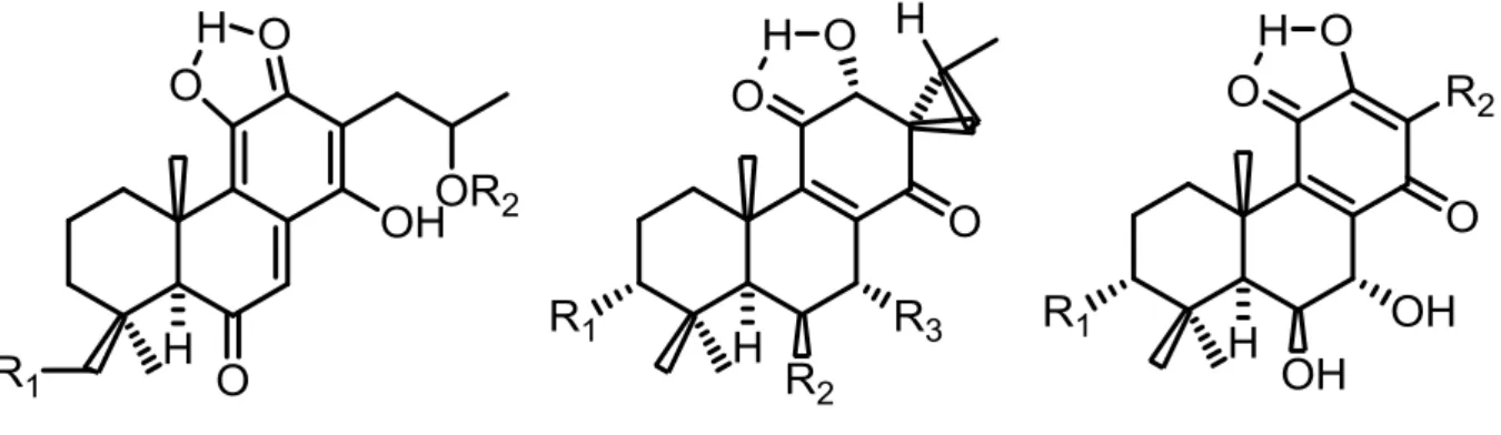 Figure 1.3 – Three examples of the variety of structures that diterpenoids can assume