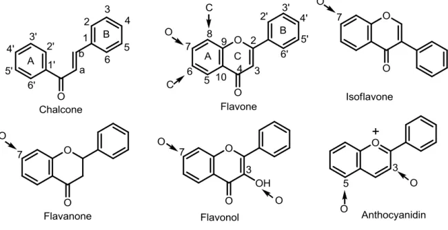 Figure 1.7 – Basic structures corresponding to the main classes of flavonoids, with the common O- and C- C-glycosylation positions indicated with an arrow